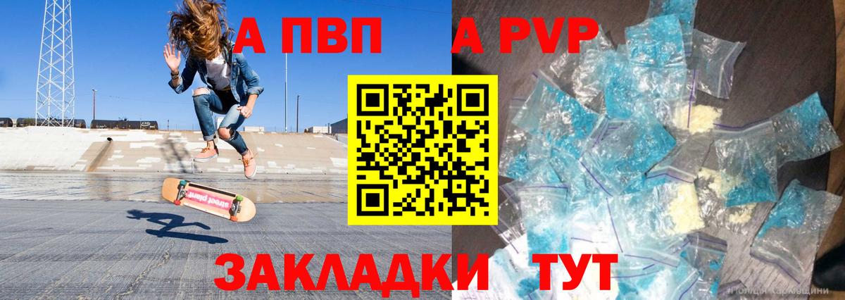 A-PVP СК КРИС Бийск
