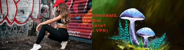 СК Алзамай